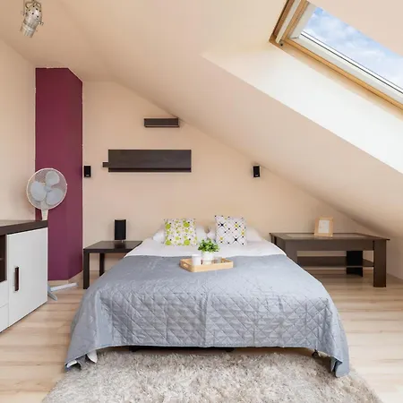 Family In By Rent Like Apartment *